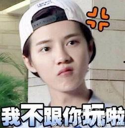 鹿晗小人表情包,萌动瞬间，诠释偶像魅力